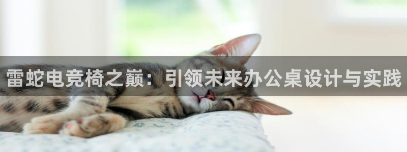 小艾电竞登陆：雷蛇电竞椅之巅：引领未来办公桌设计与实践