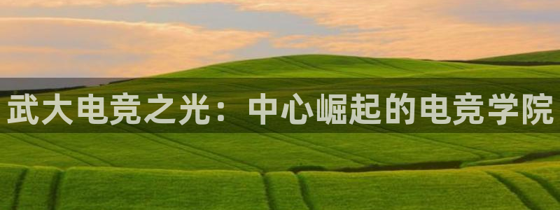 小艾电竞场馆平台：武大电竞之光：中心崛起的电竞学院