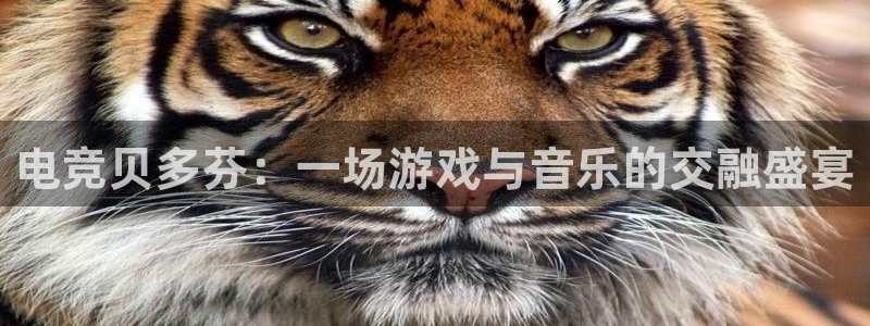 小艾电竞app下载：电竞贝多芬：一场游戏与音乐的交融盛宴