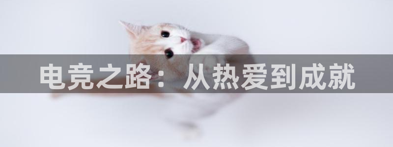 小艾电竞竞猜官网：电竞之路：从热爱到成就