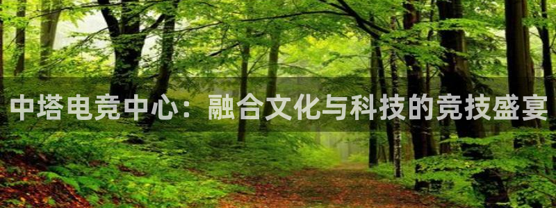 小艾电竞官方网站：中塔电竞中心：融合文化与科技的竞技盛宴