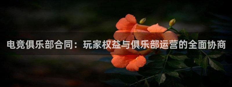 小艾电竞app：电竞俱乐部合同：玩家权益与俱乐部运营的全面协商