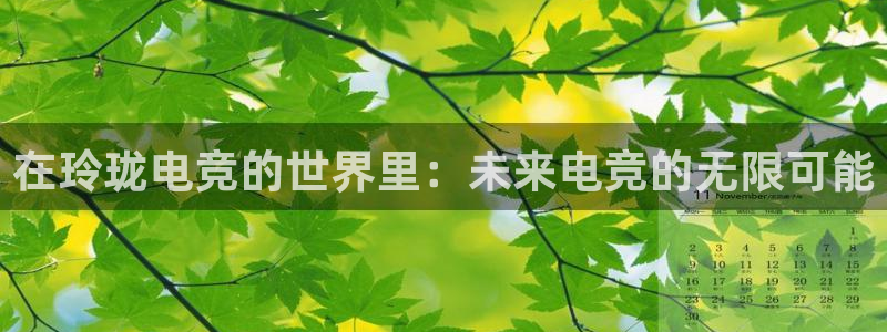小艾电竞im电竞：在玲珑电竞的世界里：未来电竞的无限可能