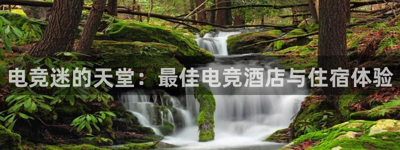 小艾电竞app官网：电竞迷的天堂：最佳电竞酒店与住宿体验