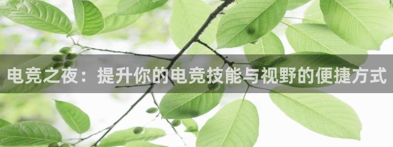 小艾电竞亚洲官网：电竞之夜：提升你的电竞技能与视野的便捷方式