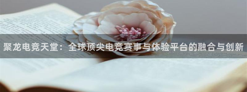 小艾电竞平台官方网：聚龙电竞天堂：全球顶尖电竞赛事与体验平台的融合与创新
