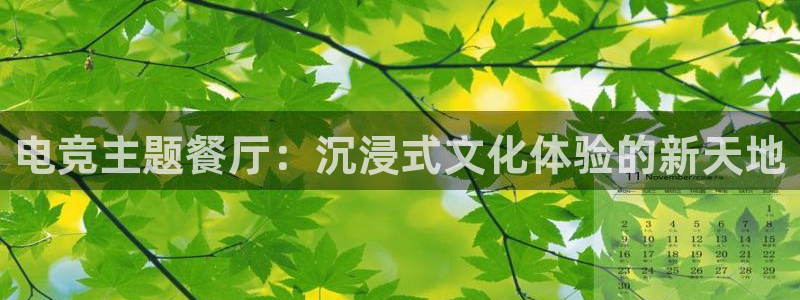 小艾电竞平台官方网：电竞主题餐厅：沉浸式文化体验的新天地