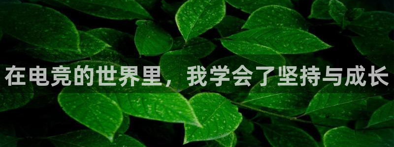 小艾电竞官网：在电竞的世界里，我学会了坚持与成长
