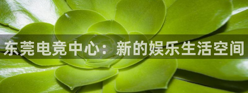 小艾电竞：东莞电竞中心：新的娱乐生活空间