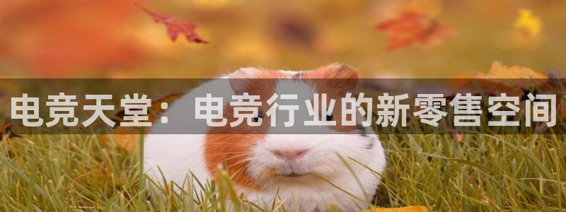小艾电竞app官网：电竞天堂：电竞行业的新零售空间